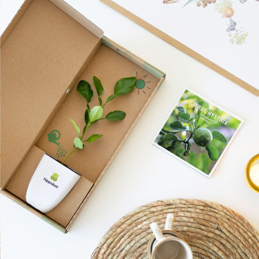 Logotrade korporatīvās dāvanas foto: Treemore Letterbox Trees Kaffir Lemon