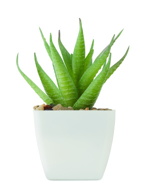 Лого трейд pекламные продукты фото: Mini artificial plant